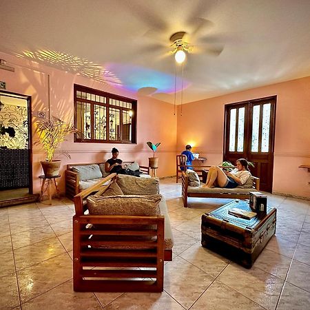 Hotel Hostal Central Oaxaca Zewnętrze zdjęcie